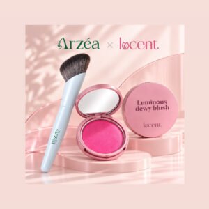 Blush and brush duo